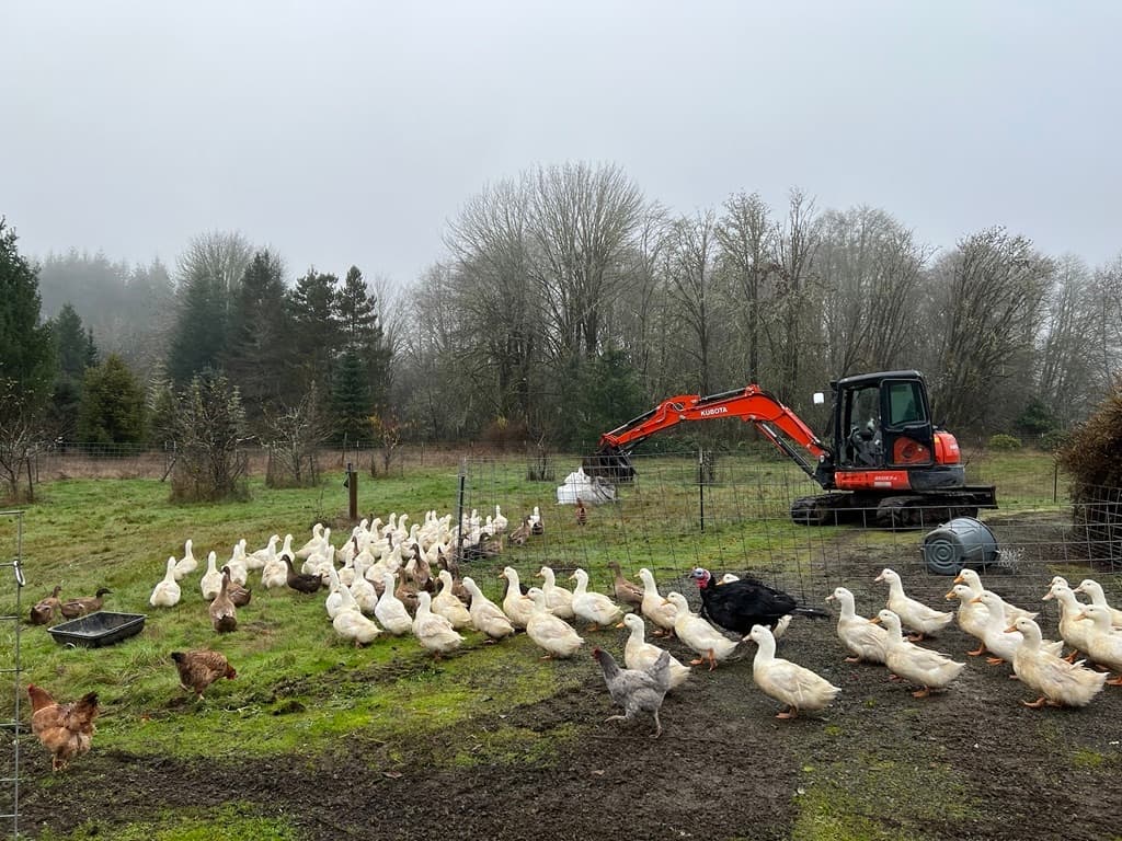 A Proper Setup image 1