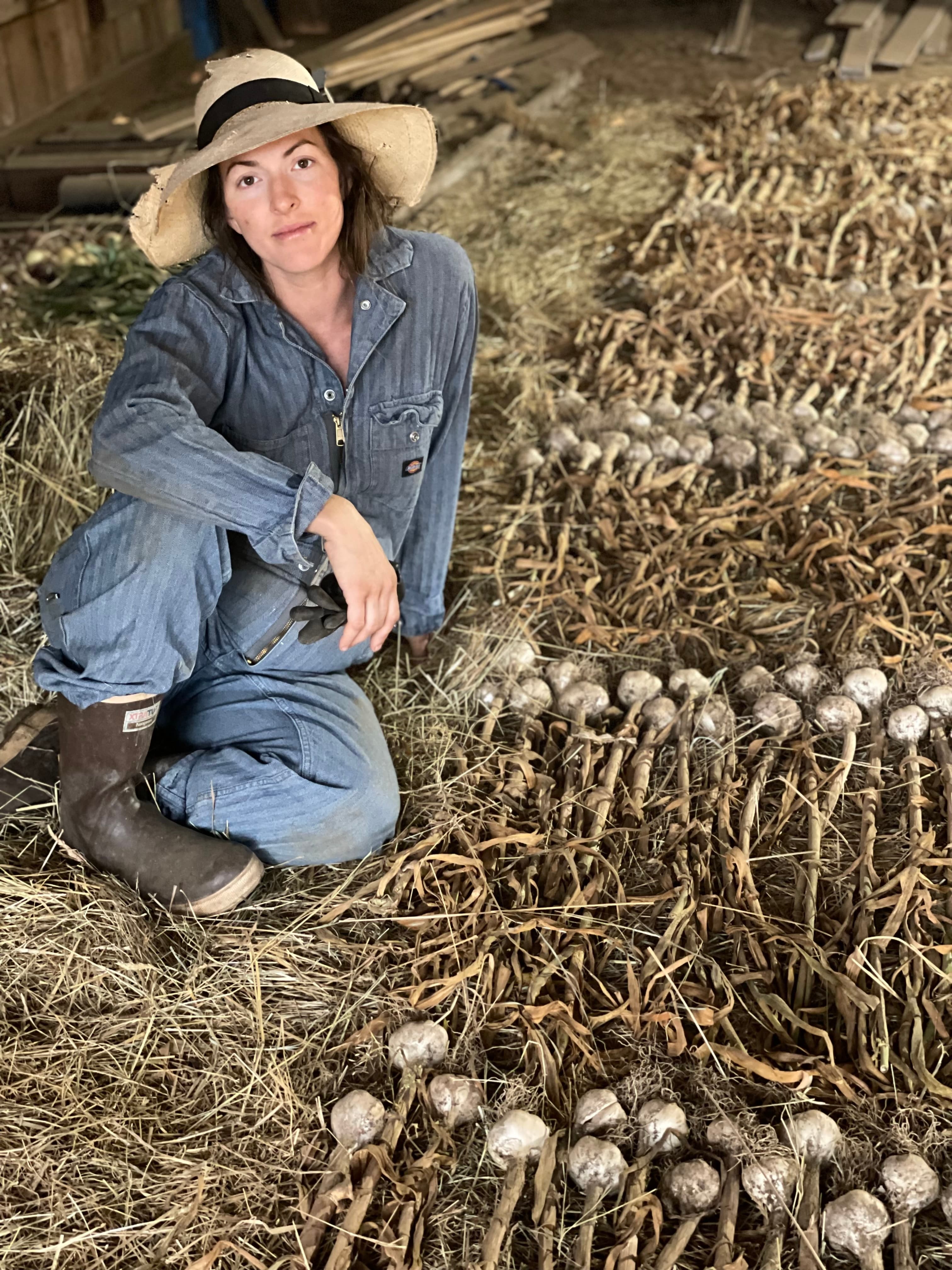 Curing Garlic image 1