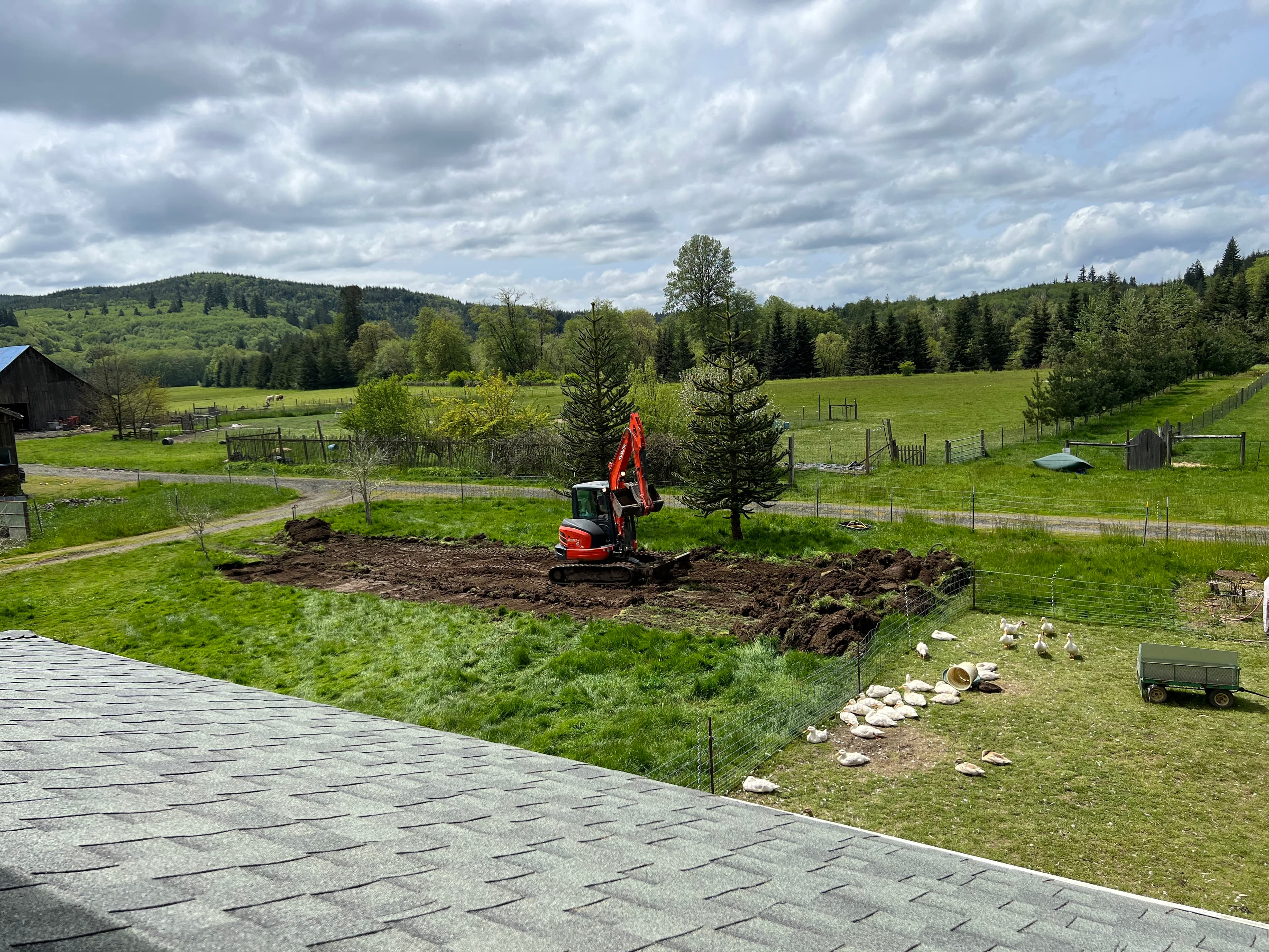 Peeling Sod. image 1