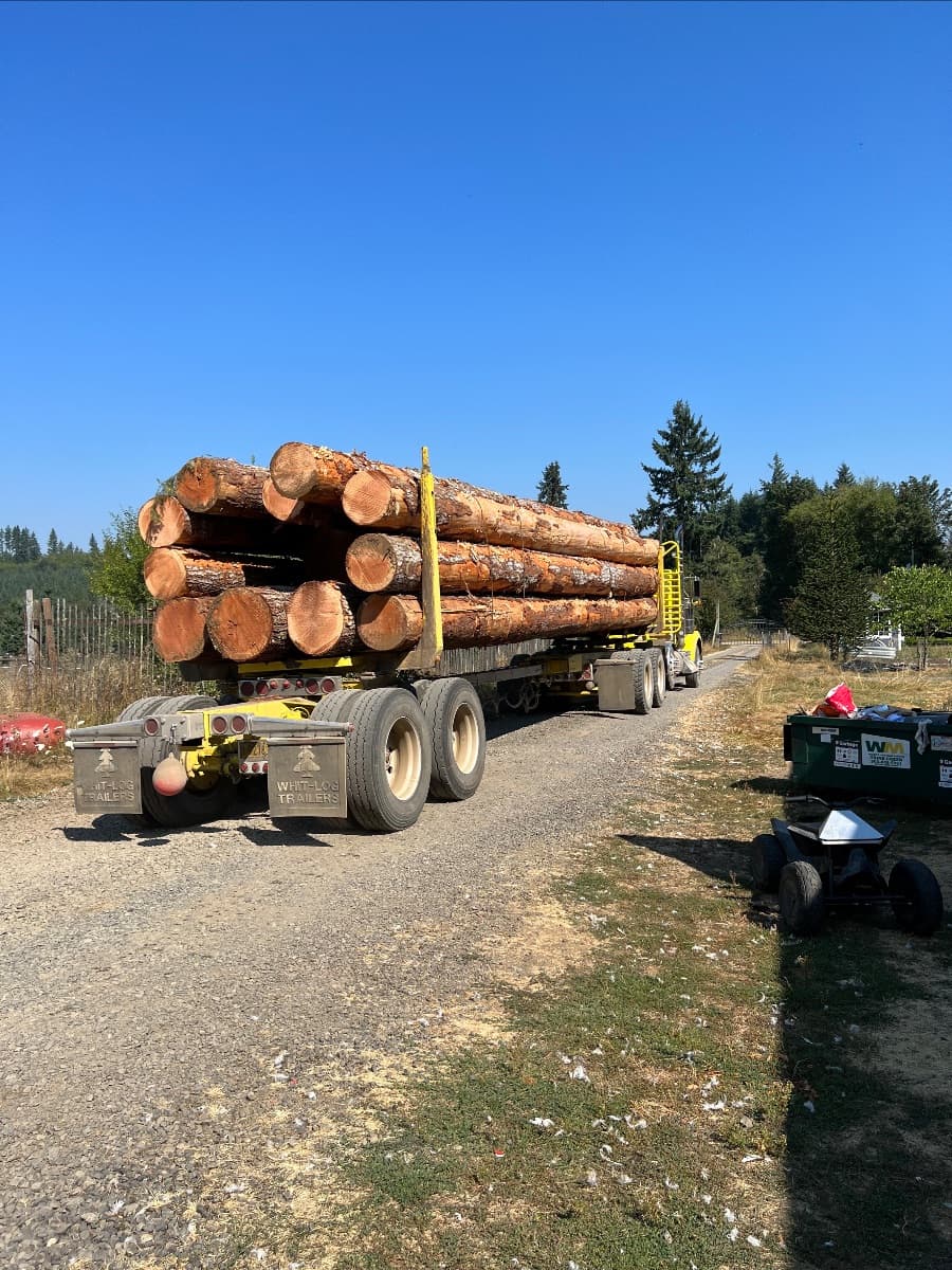 The Bacon Farm image 1