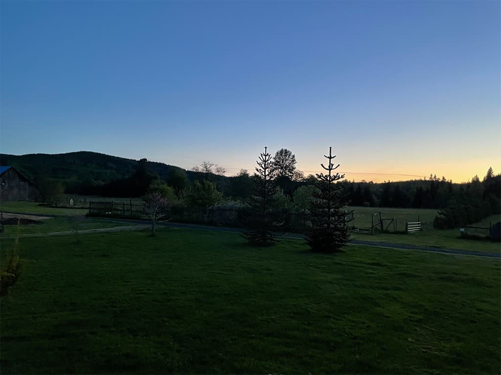 Dusk view across Neverstill Ranch pasture and coastal hills.