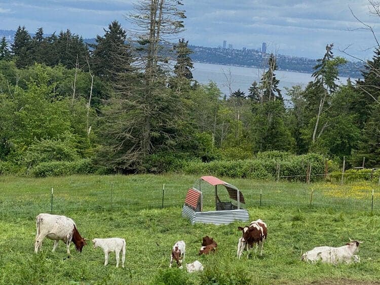 Badass Motherpluckers! image 4