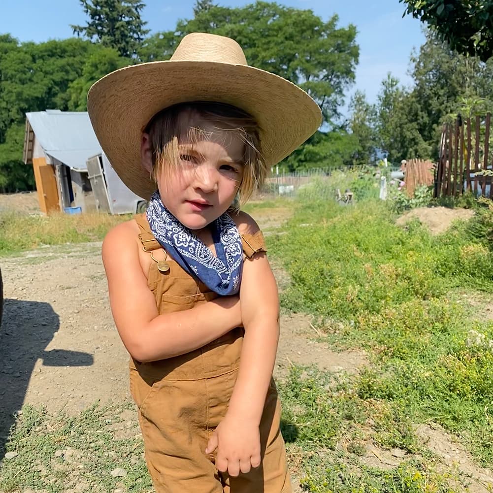 Chicks and Ducklings in the Brooders image 2