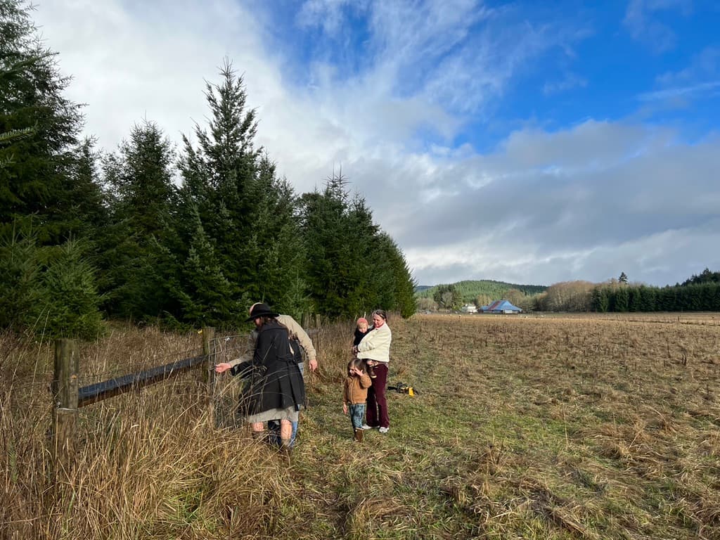 Christmas Trees, Snow Flurries and Mulled Wine image 1