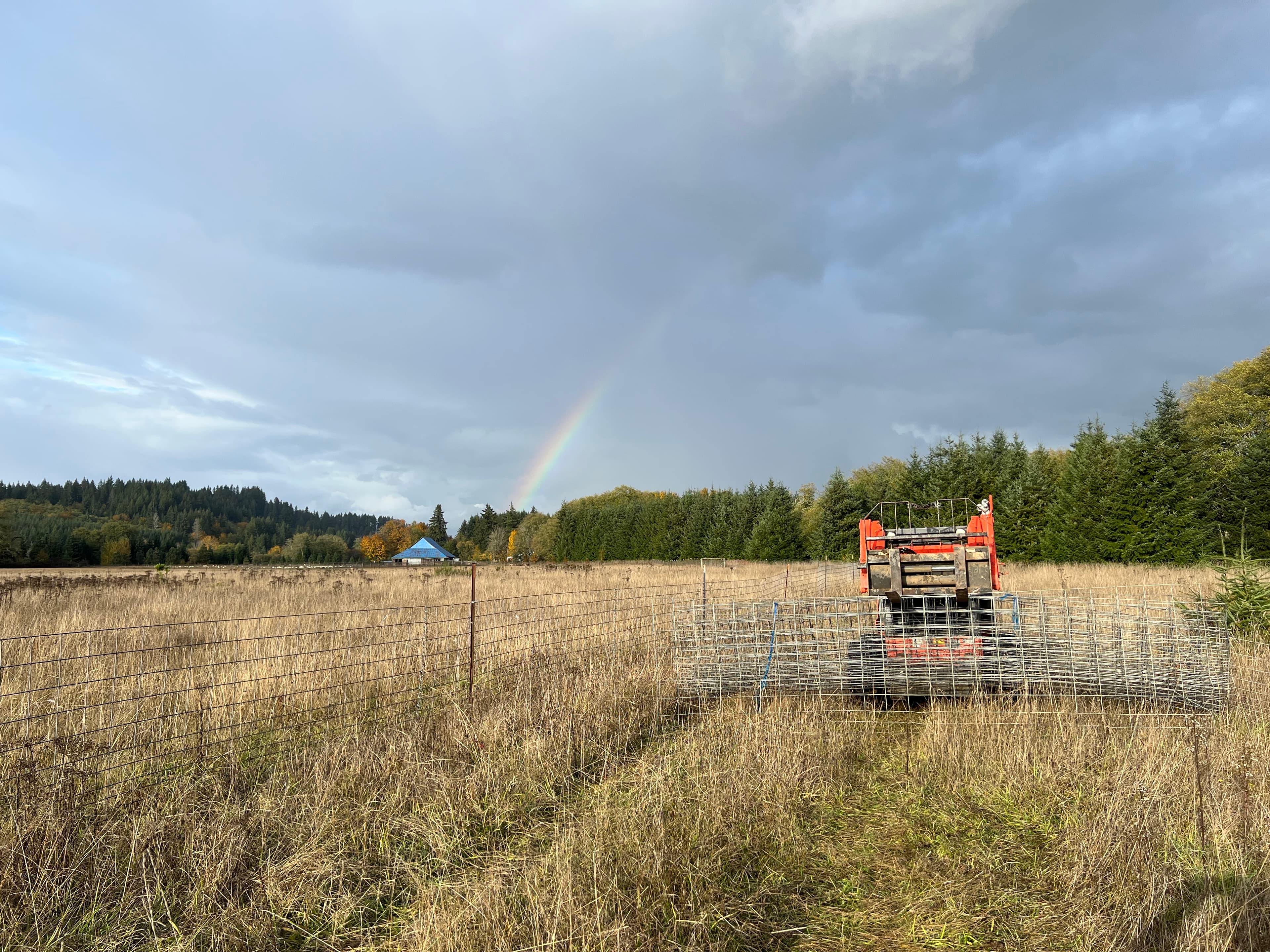 Fencing Neverstill image 6