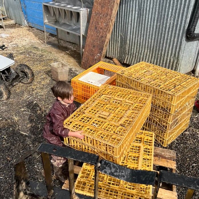 Hard Working Farm Kids