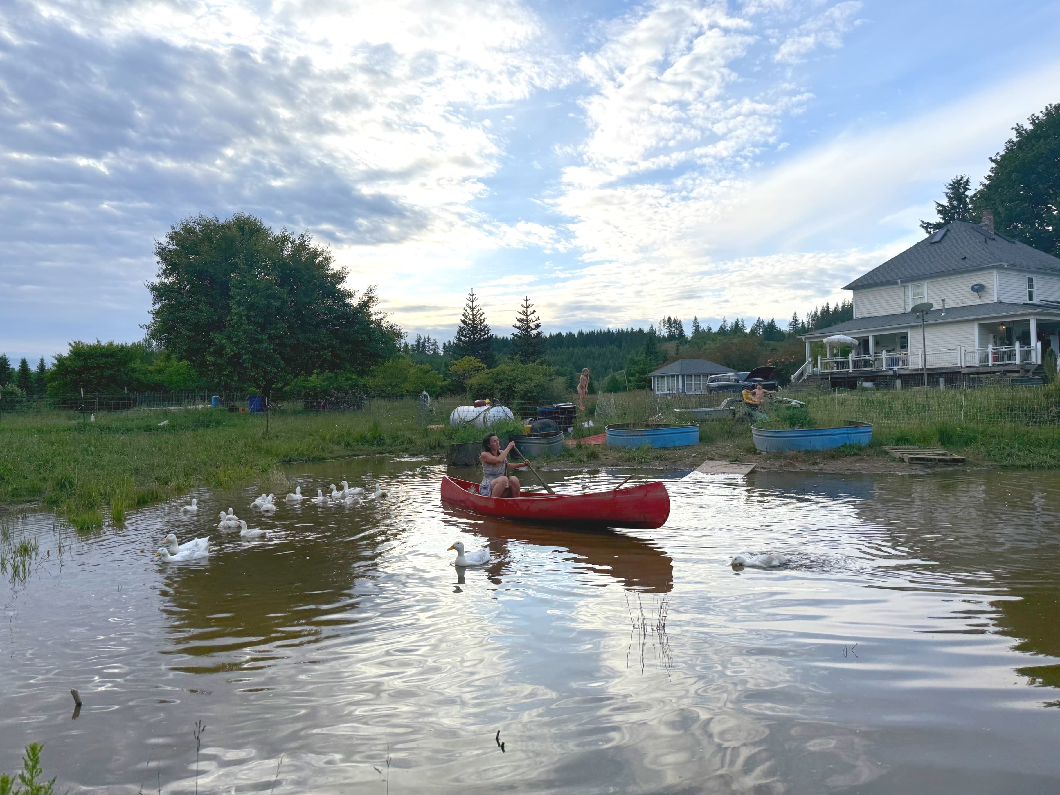 Canoeing Lake Drake beside a line of swimming ducks, with the white farmhouse beyond