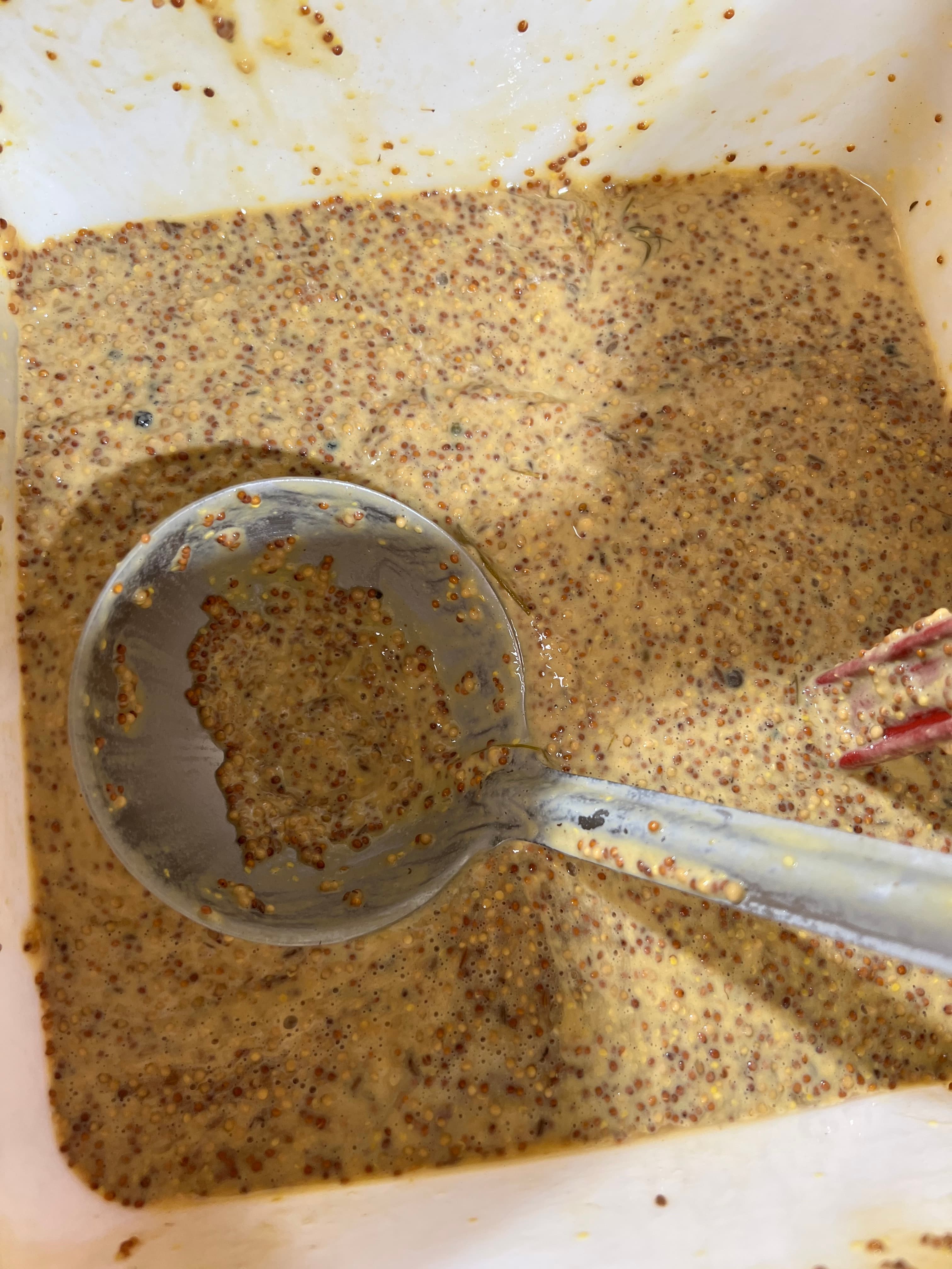 Slow Fermented Mustard image 2