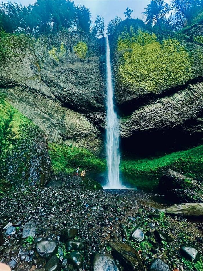 Sorry, I can’t. I’m Busy Spinning. image 5