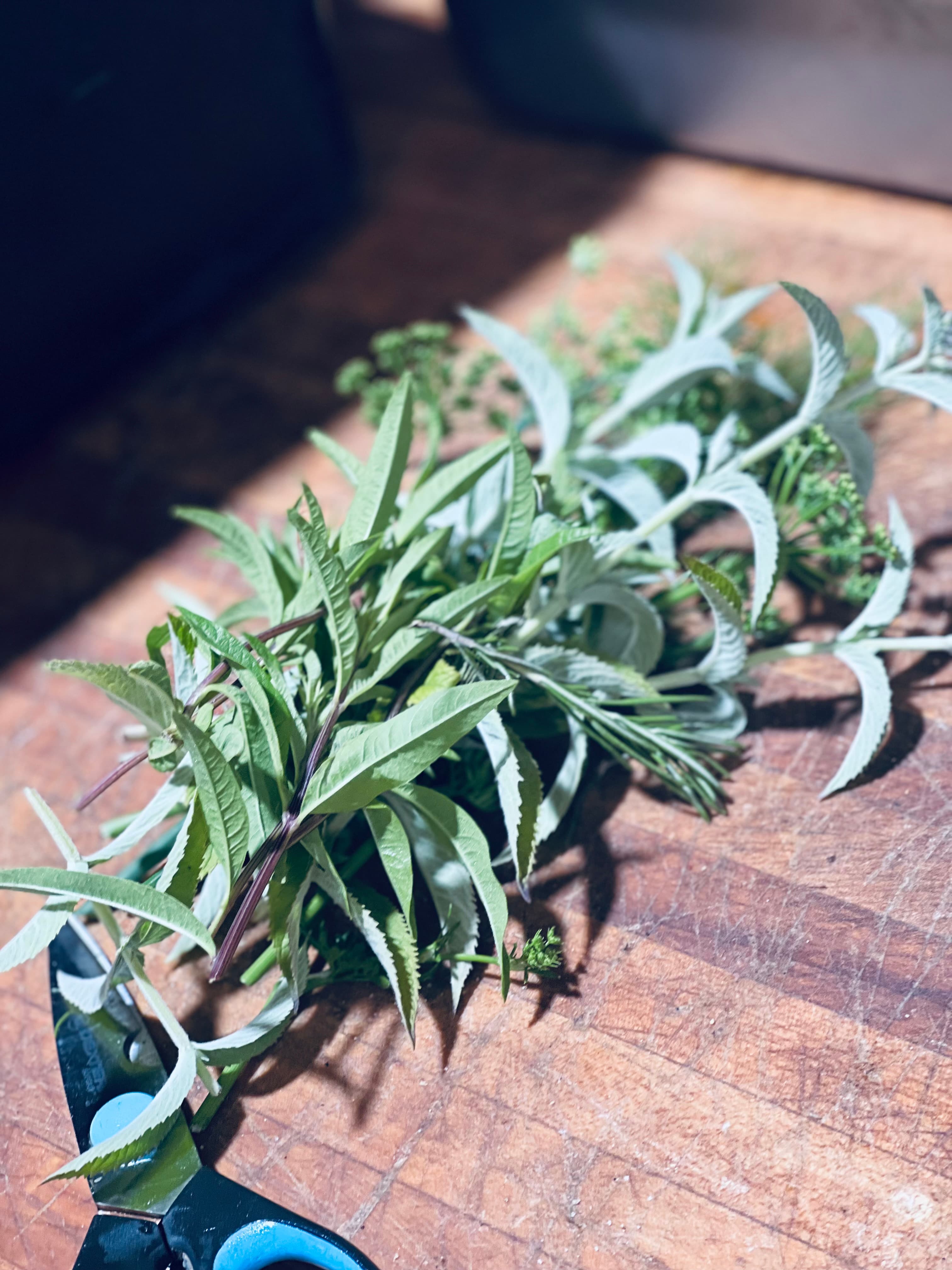 Herb planter with bottle dripper