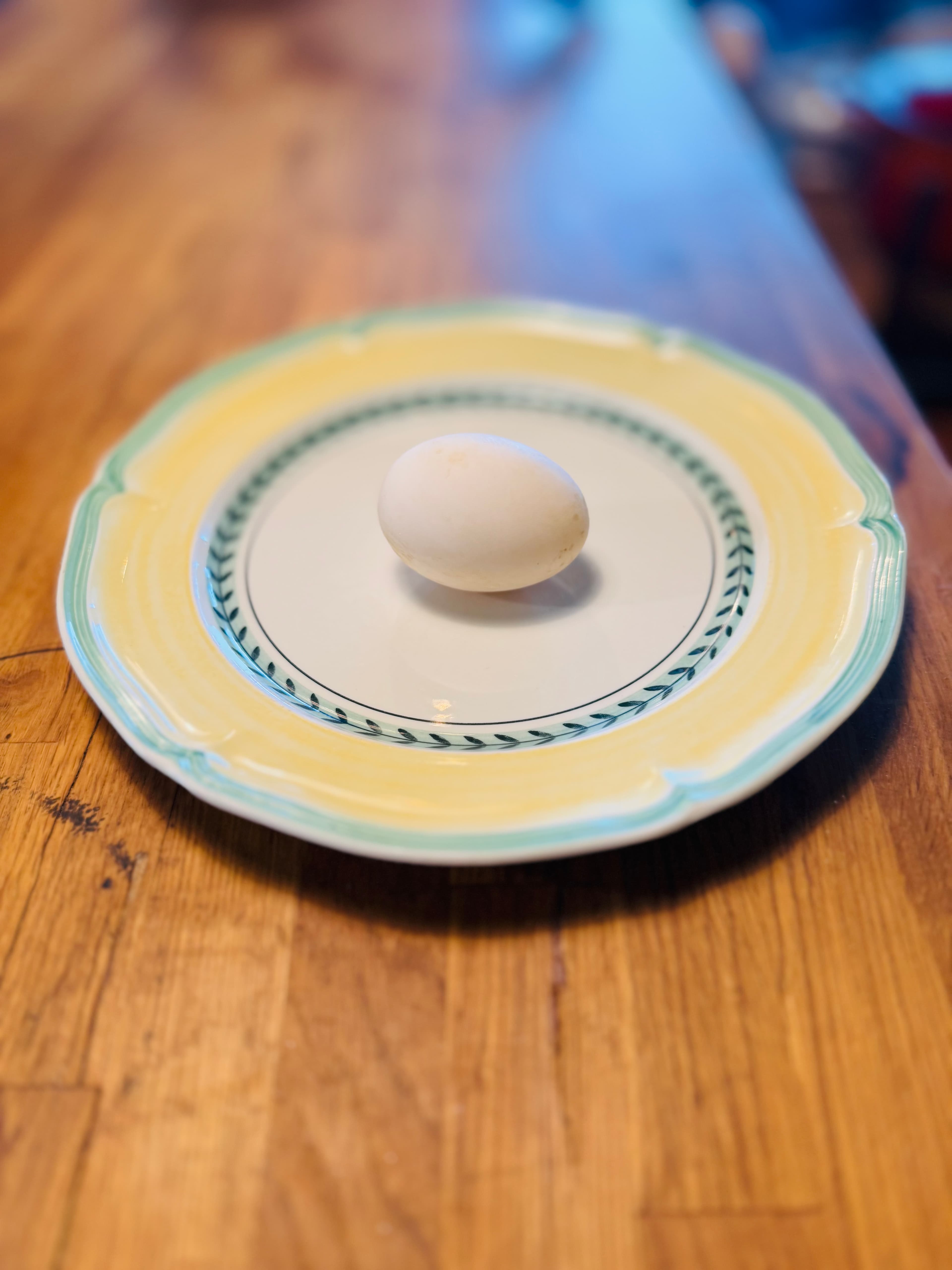A single white farm egg on floral-rimmed Villeroy & Boch china