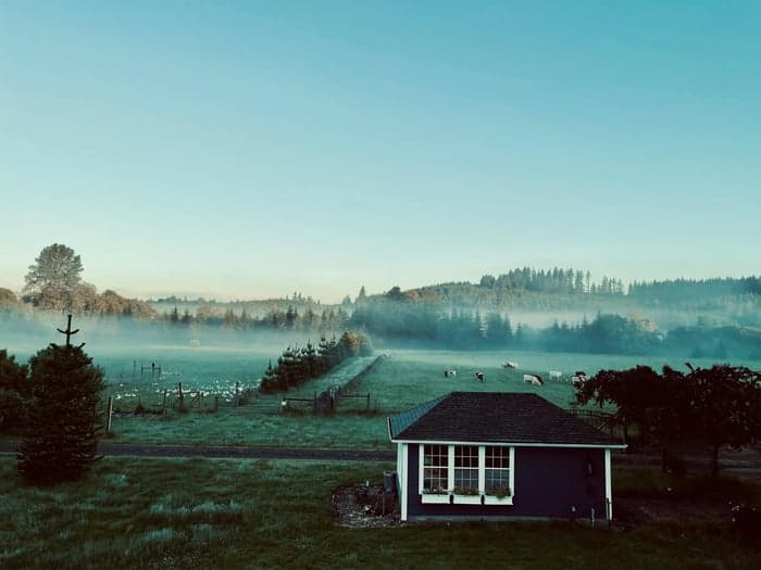 The Farm is Calling image 1