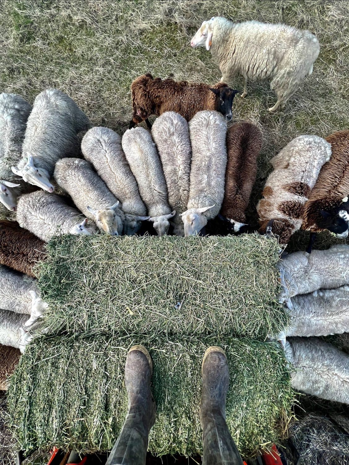 The River of Life image 1